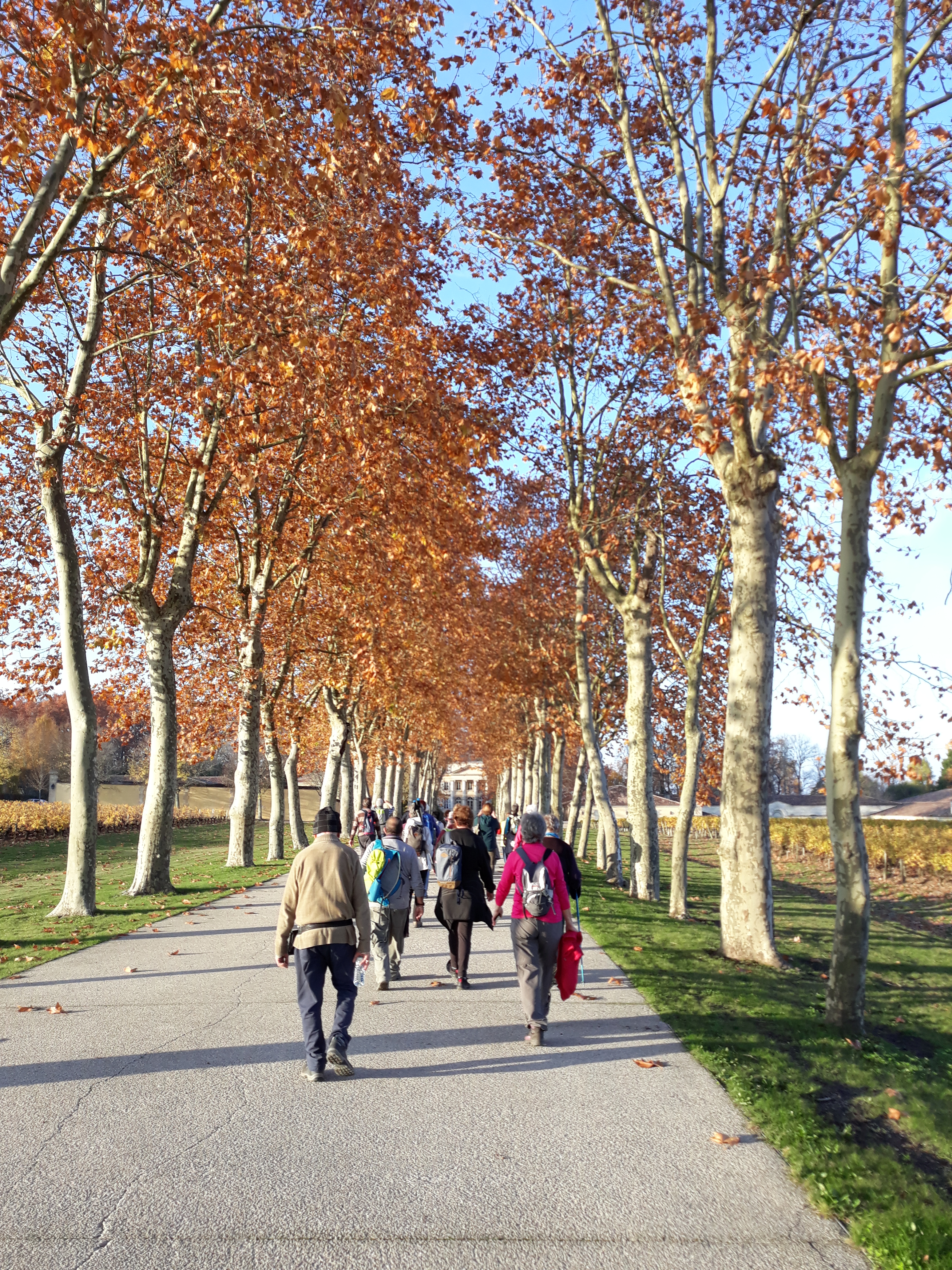 randonnée pédestre eysines bordeaux mairie rando marche douce et marche normal